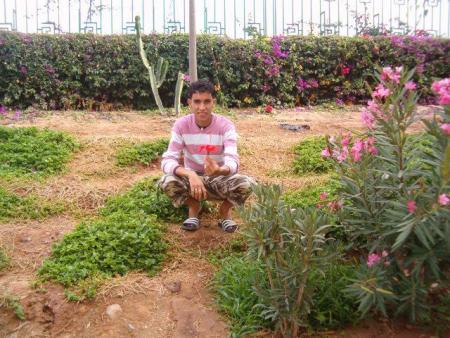 had lwarda li ahajar